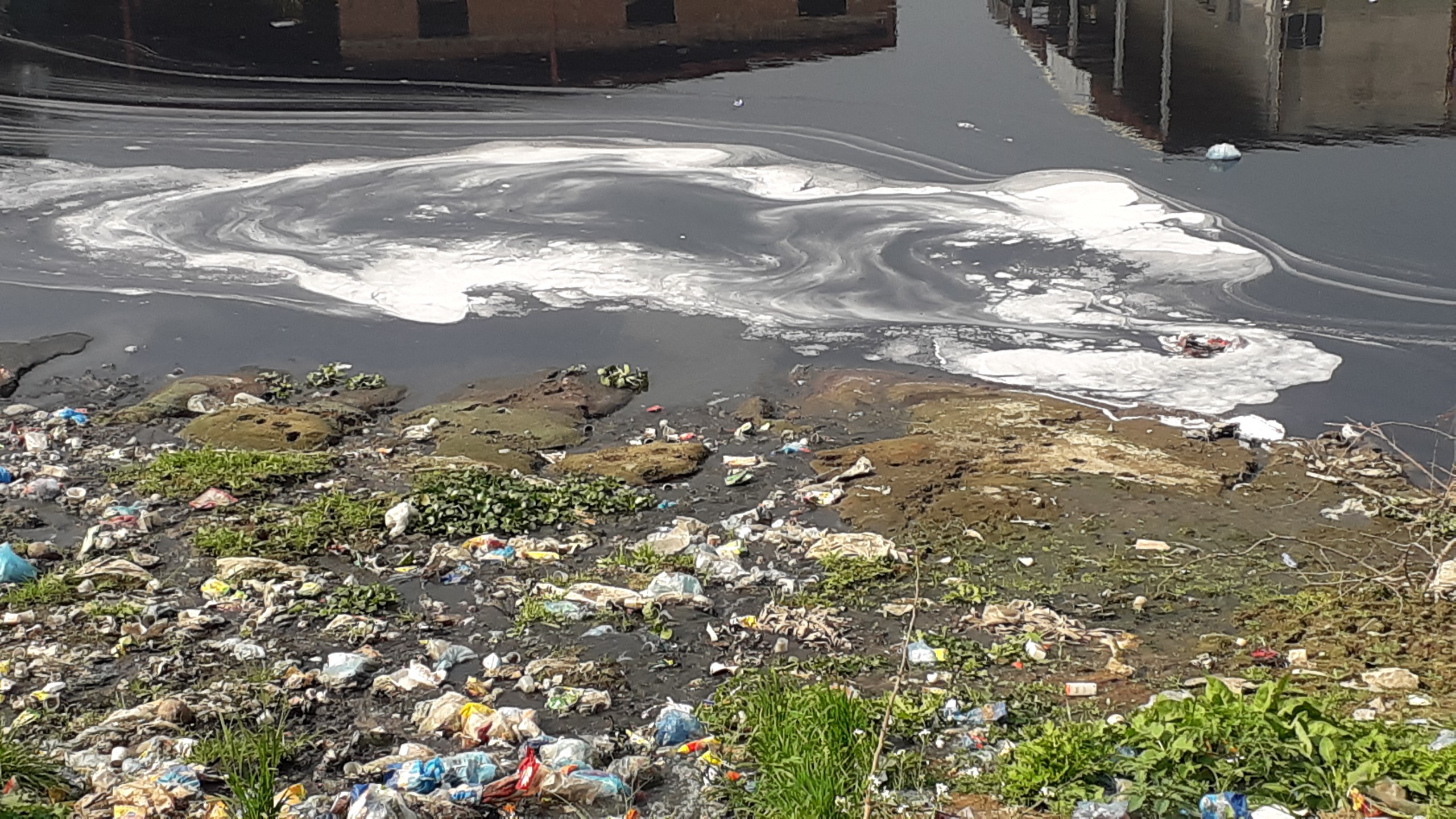 টঙ্গীতে ডাইং কারখানার দূষিত বর্জ্যে তুরাগ দূষণ