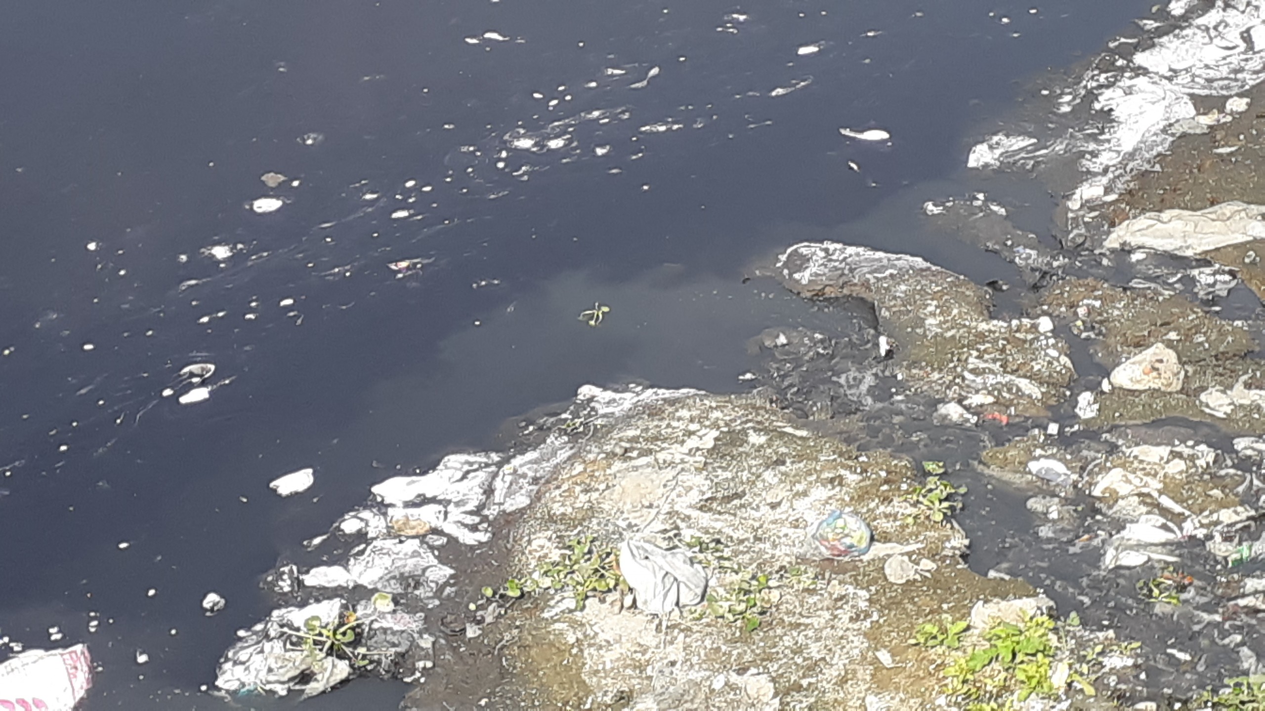 টঙ্গীতে ডাইং কারখানার দূষিত বর্জ্যে তুরাগ দূষণ