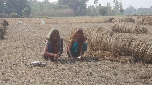 কৃষকের ক্যানভাস